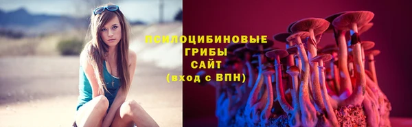 гидра Алзамай