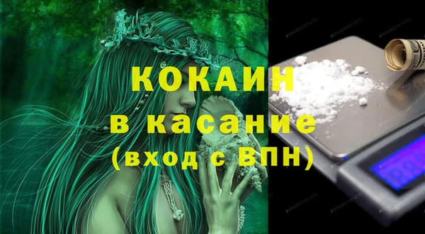 сатива Абаза