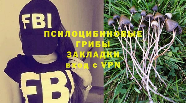 гидра Алзамай