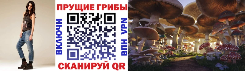 MEGA зеркало  Исилькуль  Галлюциногенные грибы ЛСД  где купить наркоту 